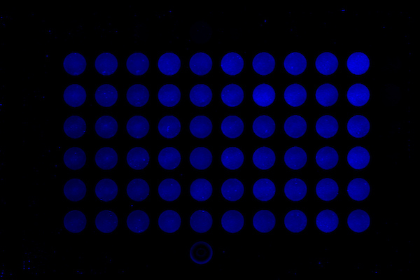 cell-analysis