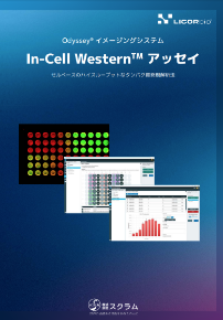 ICWアッセイ_8P冊子