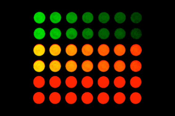 icw-clx