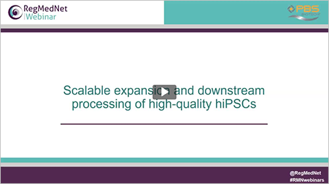 Image_Scalable expansion and downstream processing of high-quality hiPSCs