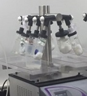 manifold
