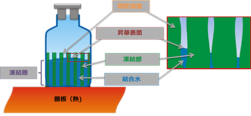 micro_lyophilization_adjusted