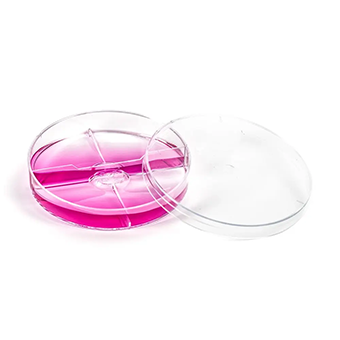 multidish