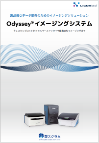 Odyssey総合_12P冊子