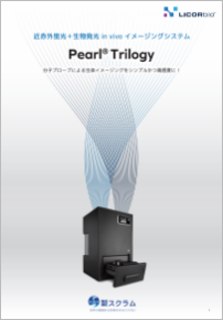 PearlTrilogy_8P冊子