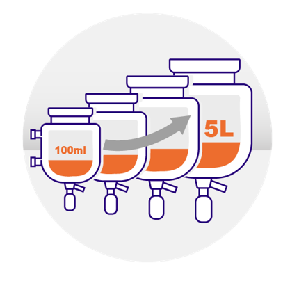 Reaction scale of 100 mL to 5 L