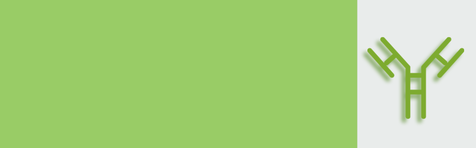 Smart抗体作製サービス(ペプチドポリクロ抗体海外免疫)