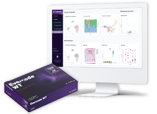 Parse シングルセル解析 Evercode シリーズ